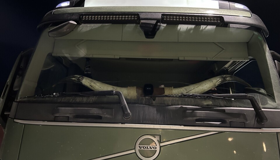 Disse bøffelhornene var ikke noe kontrollørene ble glad for å se.