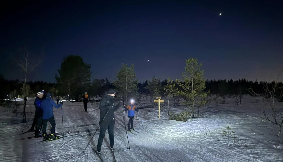 Forholdene var perferkte på alle måter da Magnor U.Ls skigruppe samlet alle gruppene sine for en måneskinnstur til skihytta på Børja. Også mange foreldre ble med på turen. Skiløpere i måneskinn