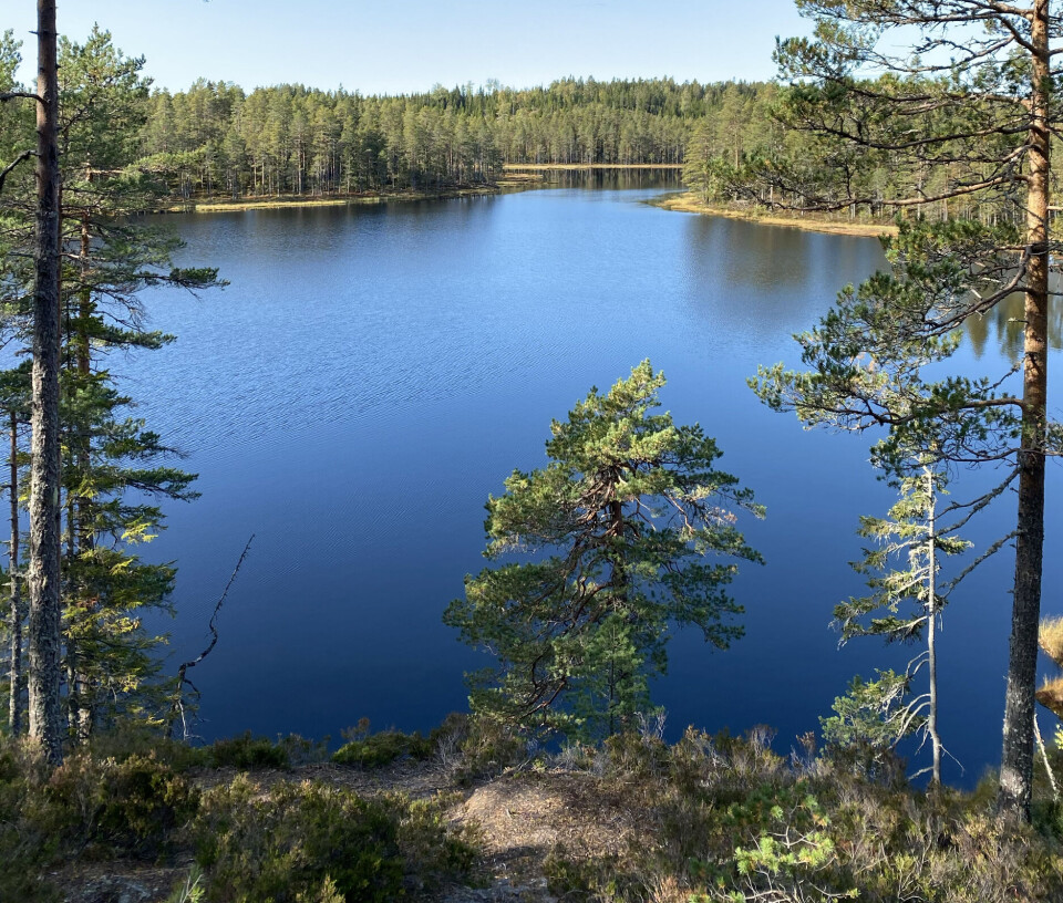 Fra gapahuken ved Arons hule med utsikt mot Stubbkjølen.