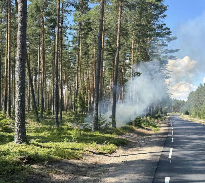Det var røyk i skogsterrenget langs Gaustadvegen på Magnor lørdag ettermiddag.