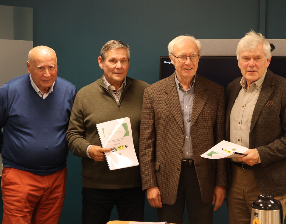 Ex-ordførere vil ha ny region-kommune