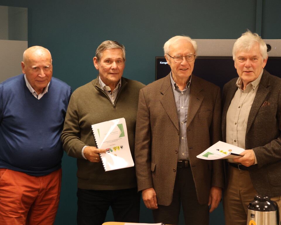Ex-ordførere vil ha ny region-kommune