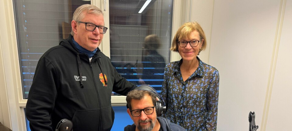 Kammerkoret jubilerer på Kulturstreif