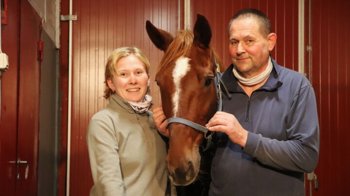 Millionhesten er tilbake – familien rørt til tårer