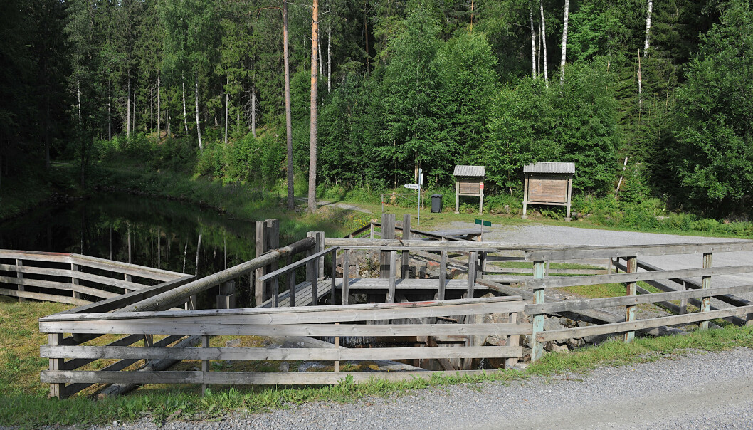 Sootkanalmarsjen starter fra informasjonstavla ved Tangen på Bolskog.