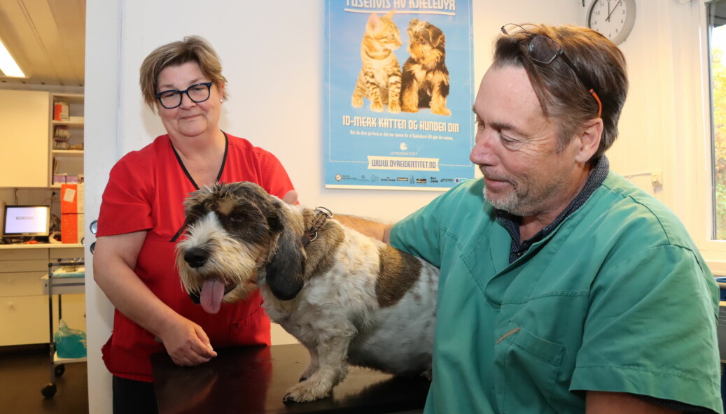 Espen Fjeldbu driver Grenseveterinæren selv, men også Solveig Holth (t.v.) er med og hjelper til. Her har hunden Chanel nettopp tatt blodprøve.