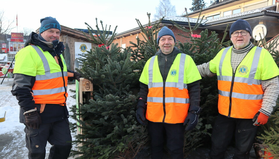 Pål Tuhus, Cato Amundsen og Arnfinn Granstrøm er noen av Lions medlemmene i Eidskog som skal selge juletrær på Emmas plass fram til jul