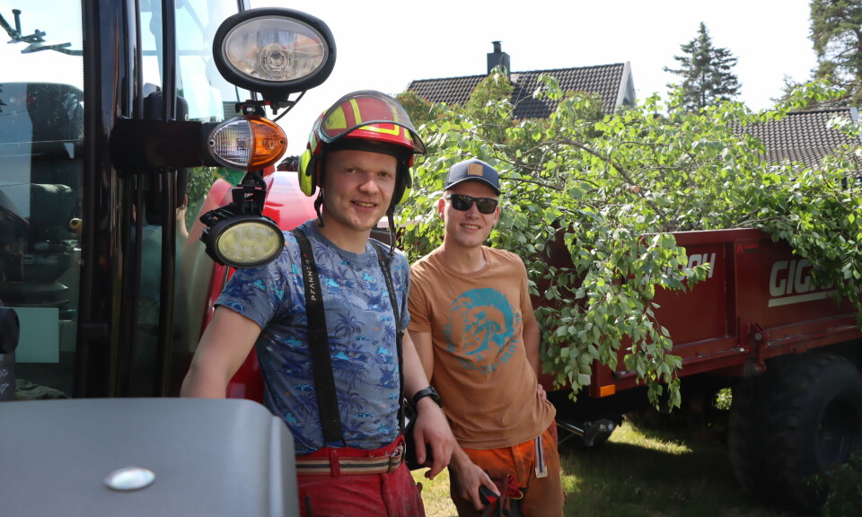Johannes (t.v.) og Edvard Sæthern driver egen skogvirksomhet, og i sommer er det mye å gjøre.