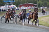 trav